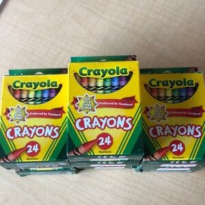 Set of 10 Crayola 24-Pack Crayons